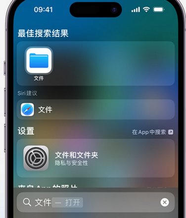 嘉禾apple维修中心分享iPhone文件应用中存储和找到下载文件 