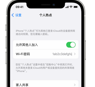 嘉禾apple服务站点分享iPhone上个人热点丢失了怎么办 