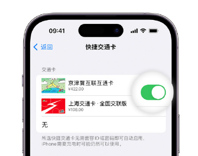 嘉禾apple维修点分享iPhone上更换Apple Pay快捷交通卡手绘卡面 