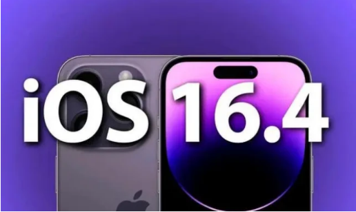 嘉禾苹果14维修分享：iPhone14可以升级iOS16.4beta2吗？ 