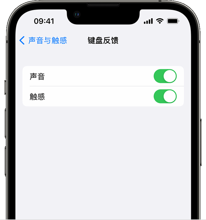 嘉禾苹果14维修店分享如何在 iPhone 14 机型中使用触感键盘 