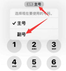 嘉禾苹果14维修店分享iPhone 14 Pro Max使用副卡打电话的方法 