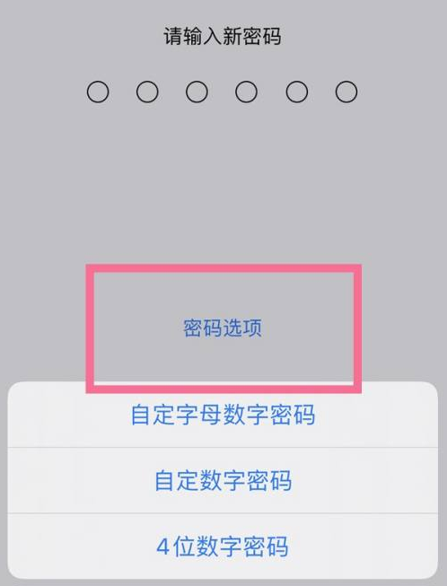 嘉禾苹果14维修分享iPhone 14plus设置密码的方法 