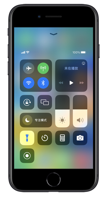 嘉禾苹果14维修分享苹果iPhone 14 Pro手电筒开启方法 