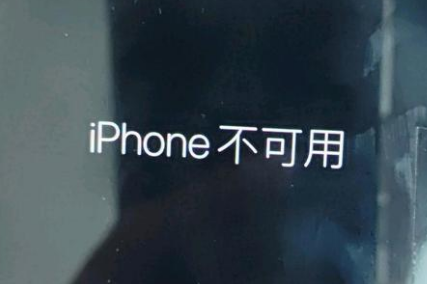 嘉禾苹果服务网点分享锁屏界面显示“iPhone 不可用”如何解决 