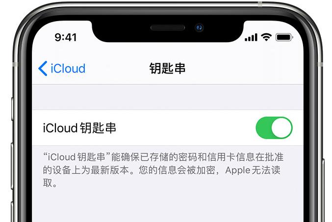 嘉禾苹果手机维修分享在 iPhone 上开启 iCloud 钥匙串之后会储存哪些信息 