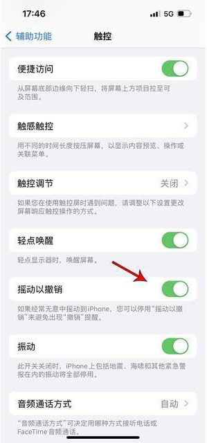 嘉禾苹果手机维修分享iPhone手机如何设置摇一摇删除文字 