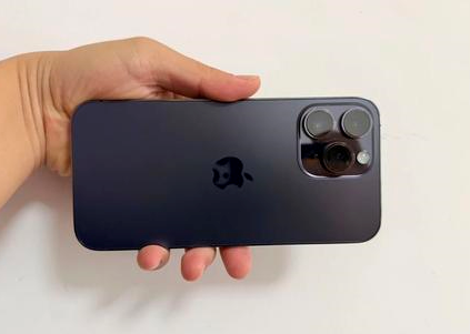 嘉禾苹果维修点分享iPhone 14 Pro Max黑屏少见故障盘点 